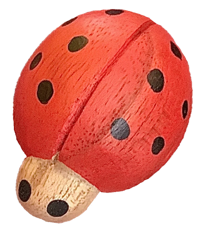Imagen de Mariquita de madera- Papoose