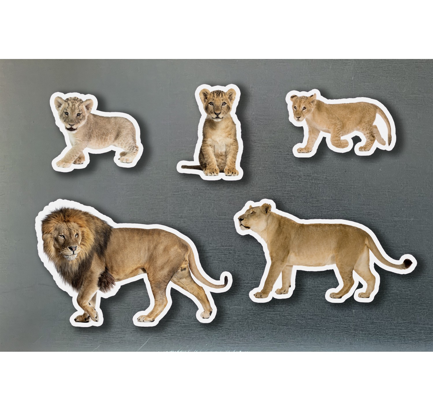 Imagen de Piezas Magnéticas de Bambú Familia Leones